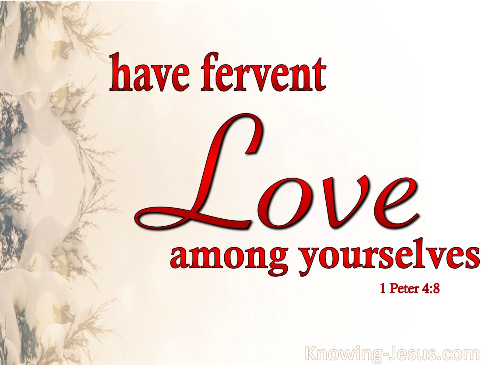 1 Peter 4:8 Have Fervent Love Among Yourselves (red)